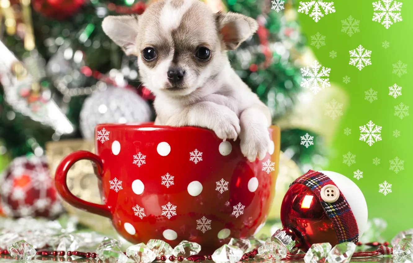 Photo wallpaper decoration, snowflakes, toy, dog, ball, mug, puppy, doggie