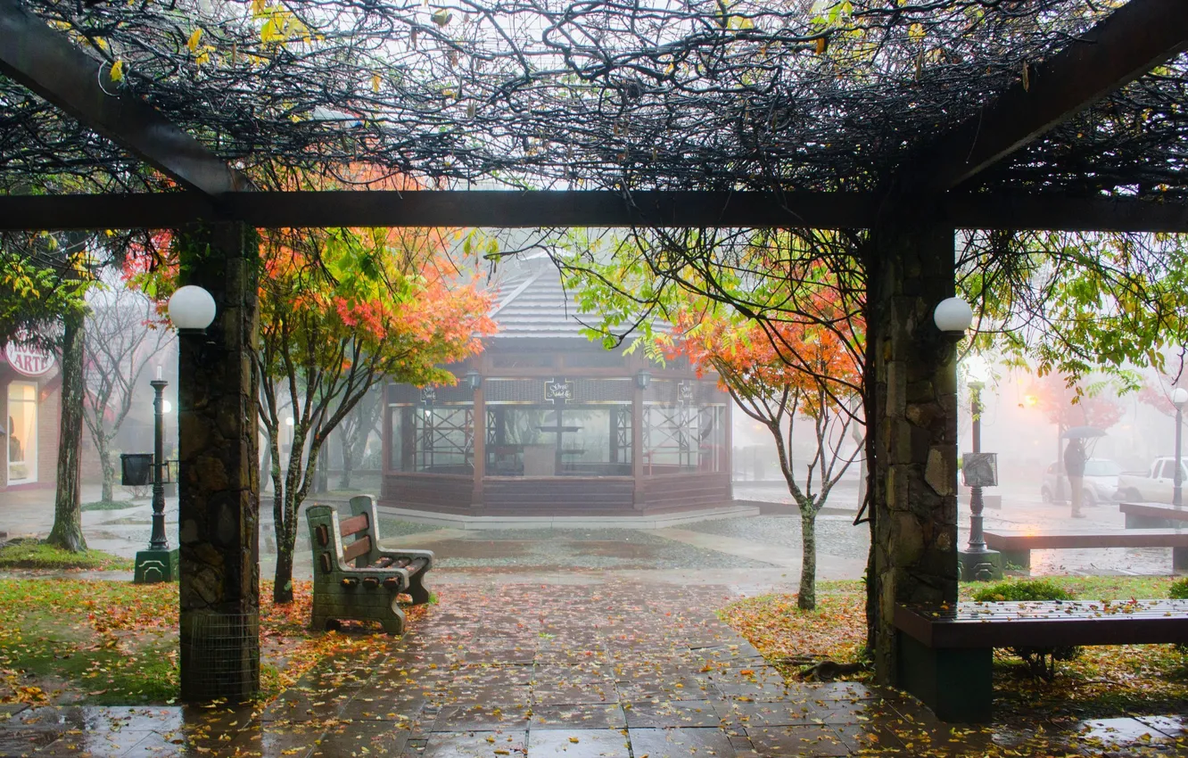 Photo wallpaper autumn, bench, the city, rain, rain, autumn, bench, city​​
