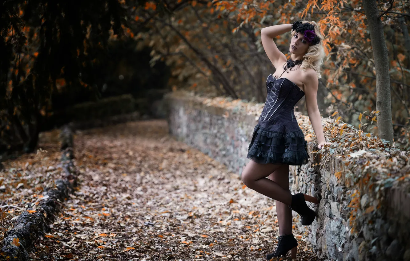 Photo wallpaper autumn, girl, face, hair, dress, legs, Deborah
