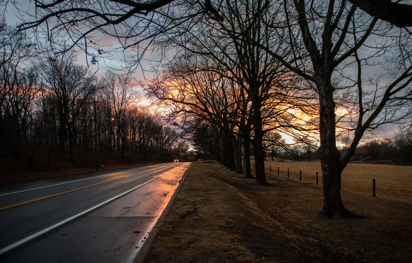 Photo wallpaper road, trees, sunset