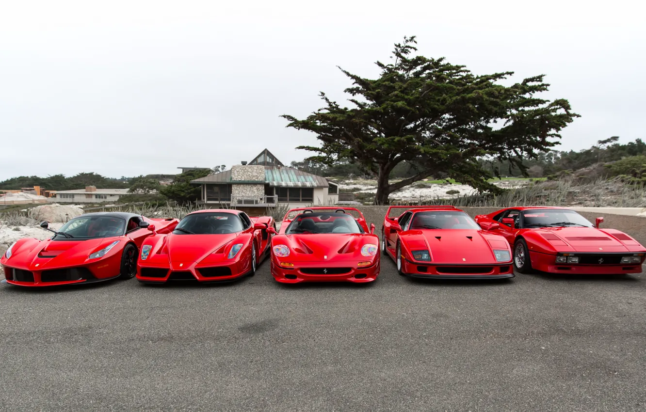 Photo wallpaper Ferrari, F40, Enzo, Italia, RED, F50, LaFerrari, 288 GTO