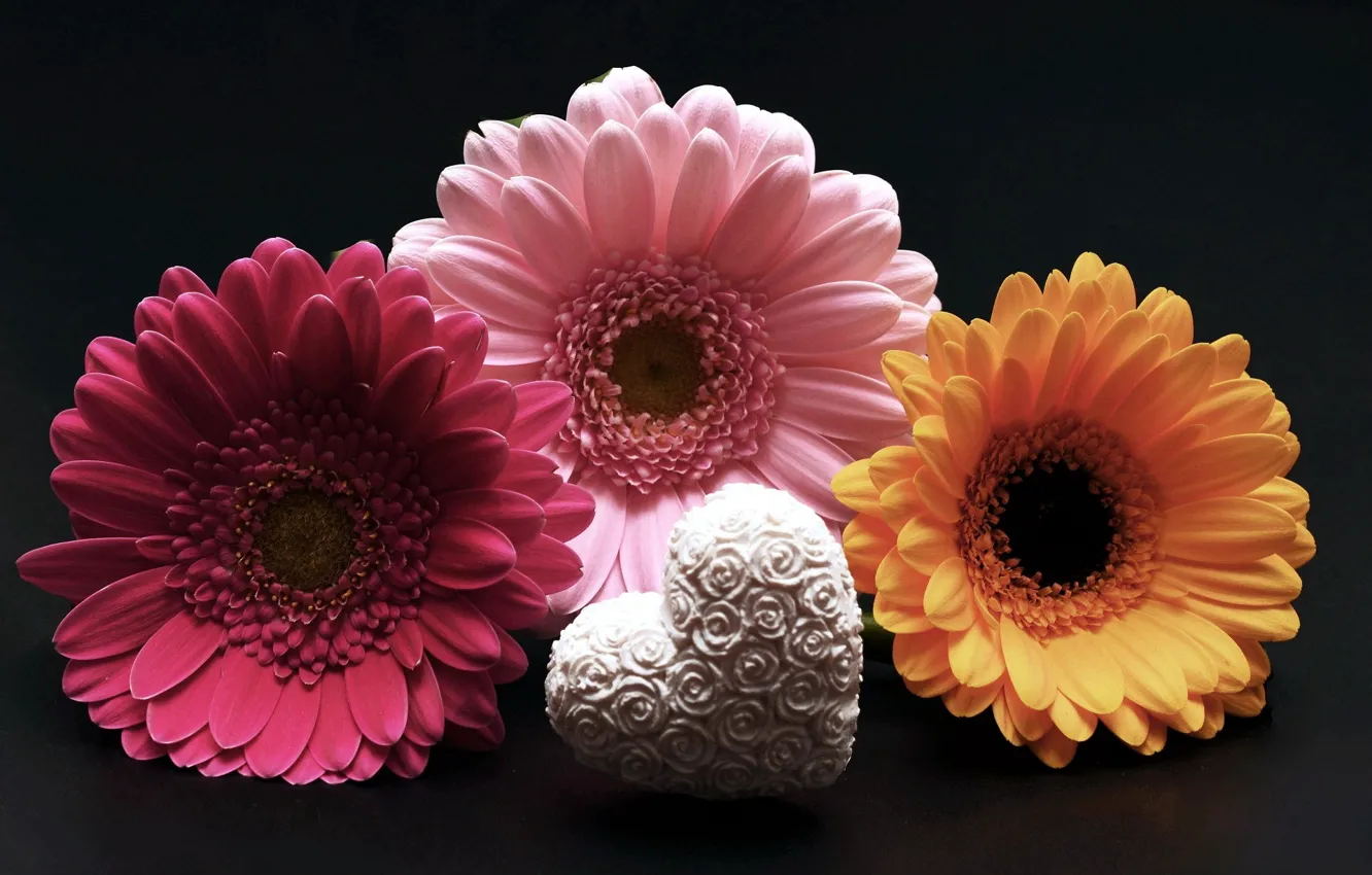 Photo wallpaper flowers, hearts, trio, gerbera