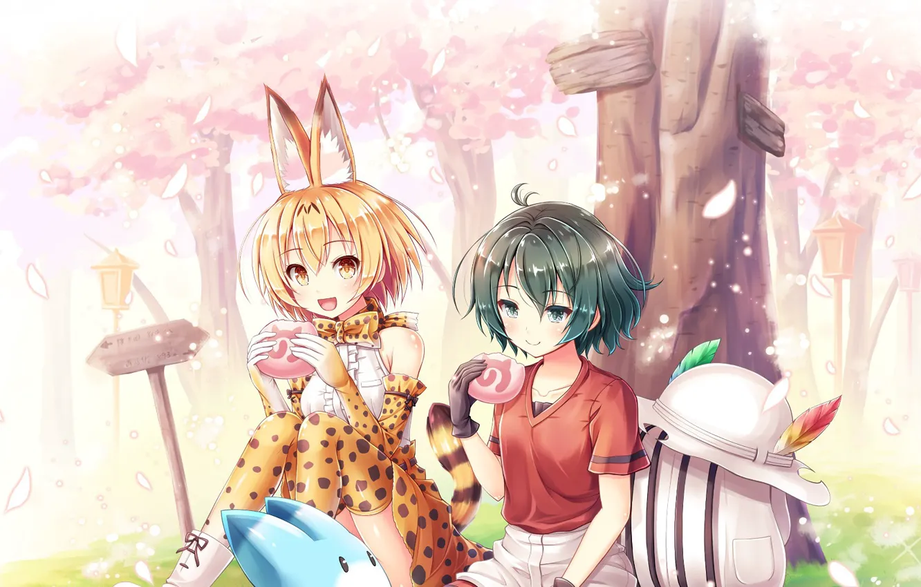 Photo wallpaper girl, anime, sakura, japanese, bishojo, Kemono Fiends