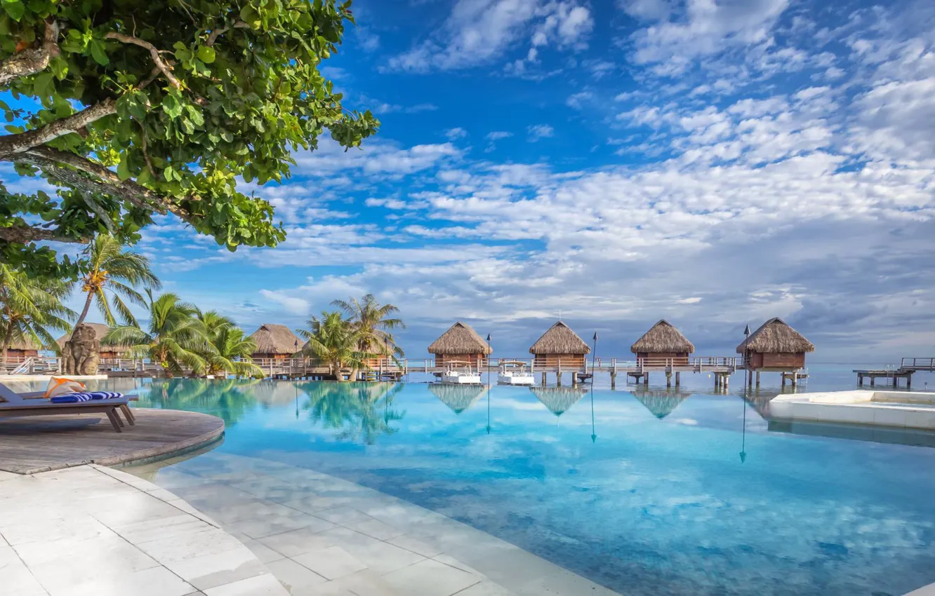 Photo wallpaper palm trees, the ocean, pool, resort, Moorea, French Polynesia, Bungalow, Manava Beach Resort