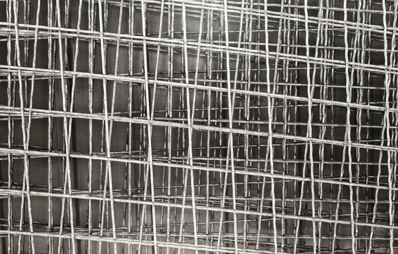 Photo wallpaper line, metal, grey, background, mesh, texture, cell, netting