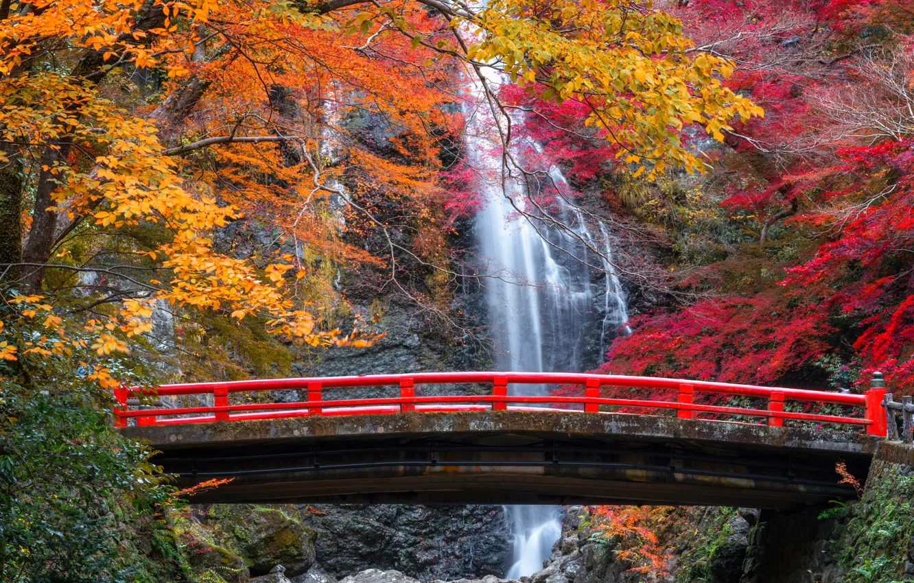 Photo wallpaper autumn, trees, bridge, rock, waterfall, Japan, Japan, Osaka