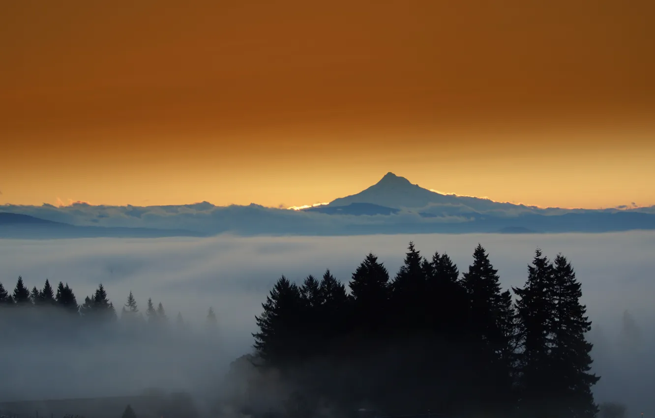 Photo wallpaper forest, mountains, the city, lights, fog, the evening, Mount Hood, Eastern Oregon