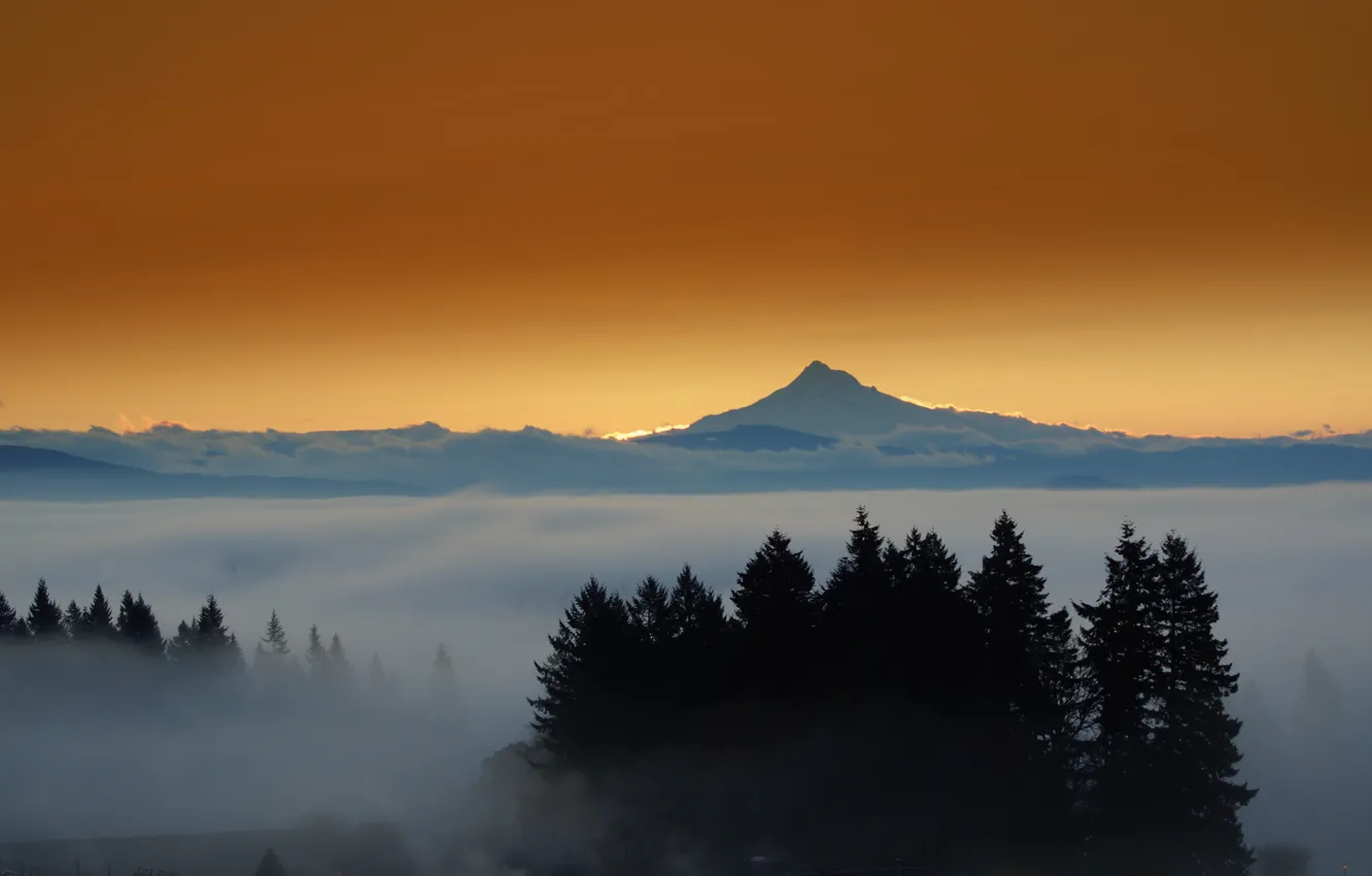 Photo wallpaper forest, mountains, the city, lights, fog, the evening, mount Hood, Eastern Oregon