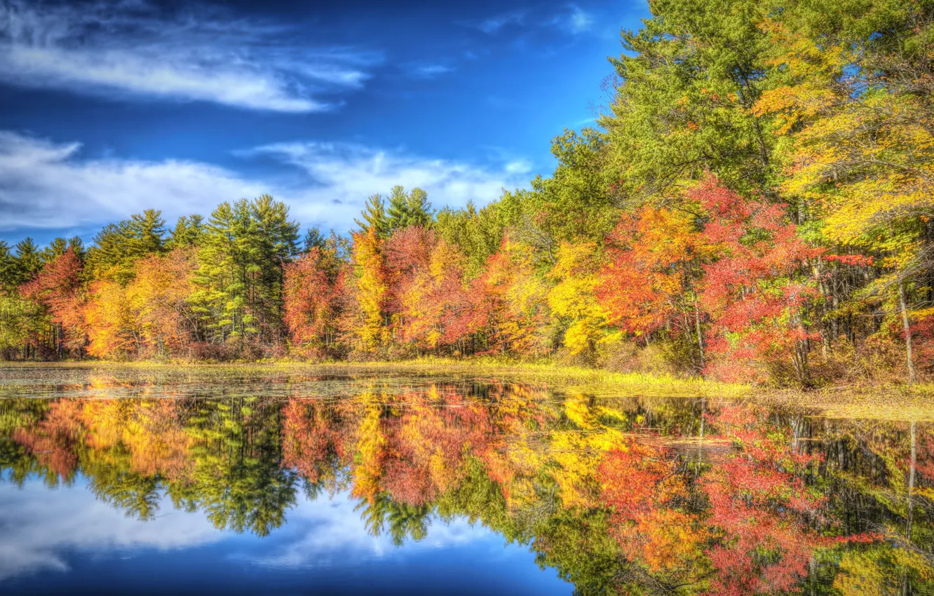 Photo wallpaper autumn, forest, trees, lake, reflection, New Hampshire, New Hampshire, Nashua