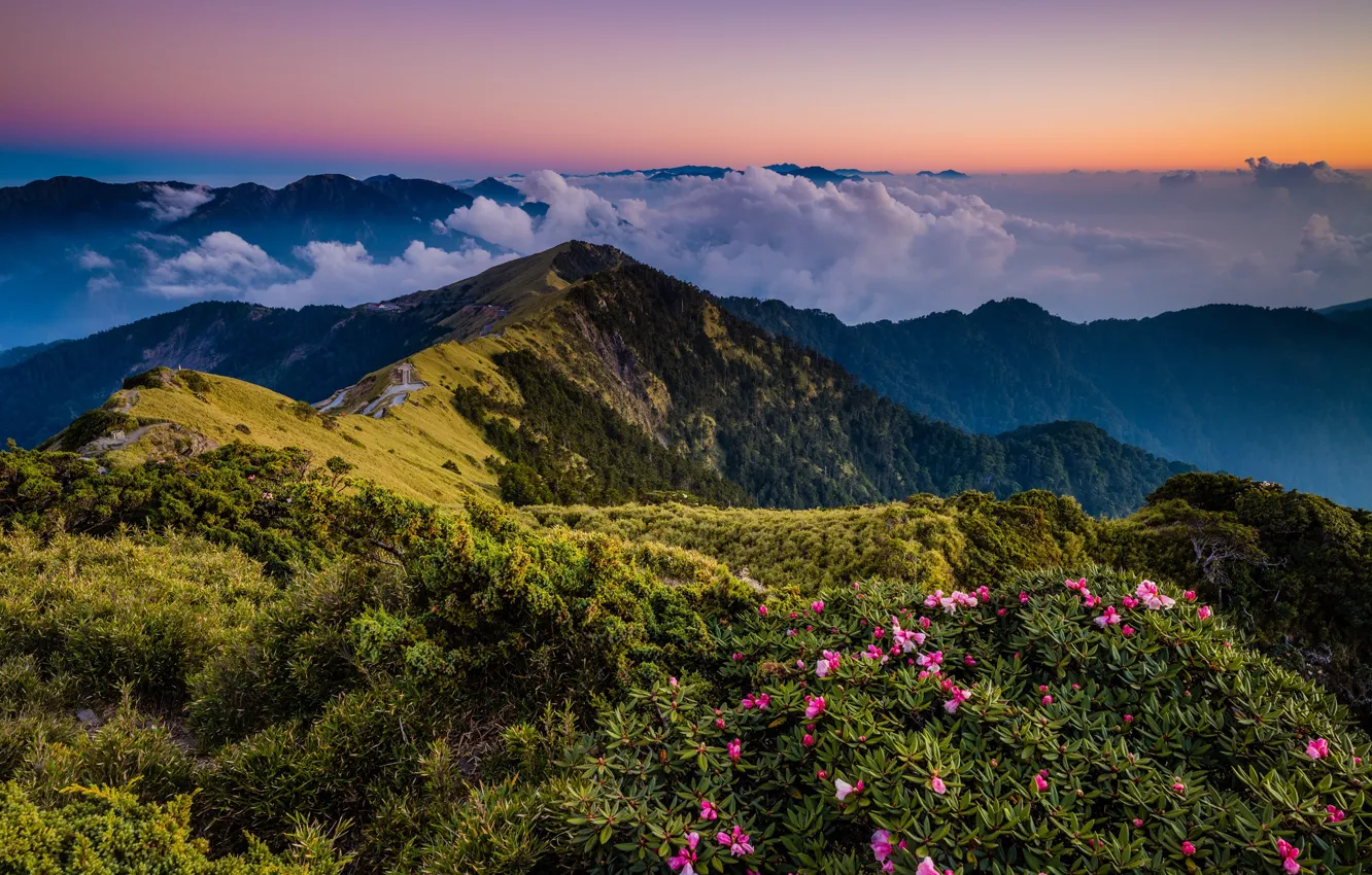 Photo wallpaper greens, the sky, leaves, clouds, landscape, flowers, mountains, nature