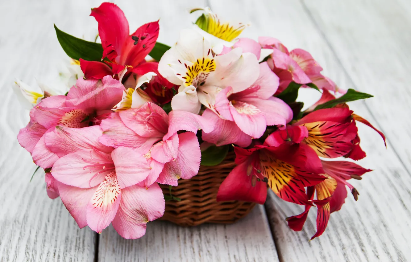 Photo wallpaper flowers, Lily, bouquet, pink, wood, pink, flowers, lily