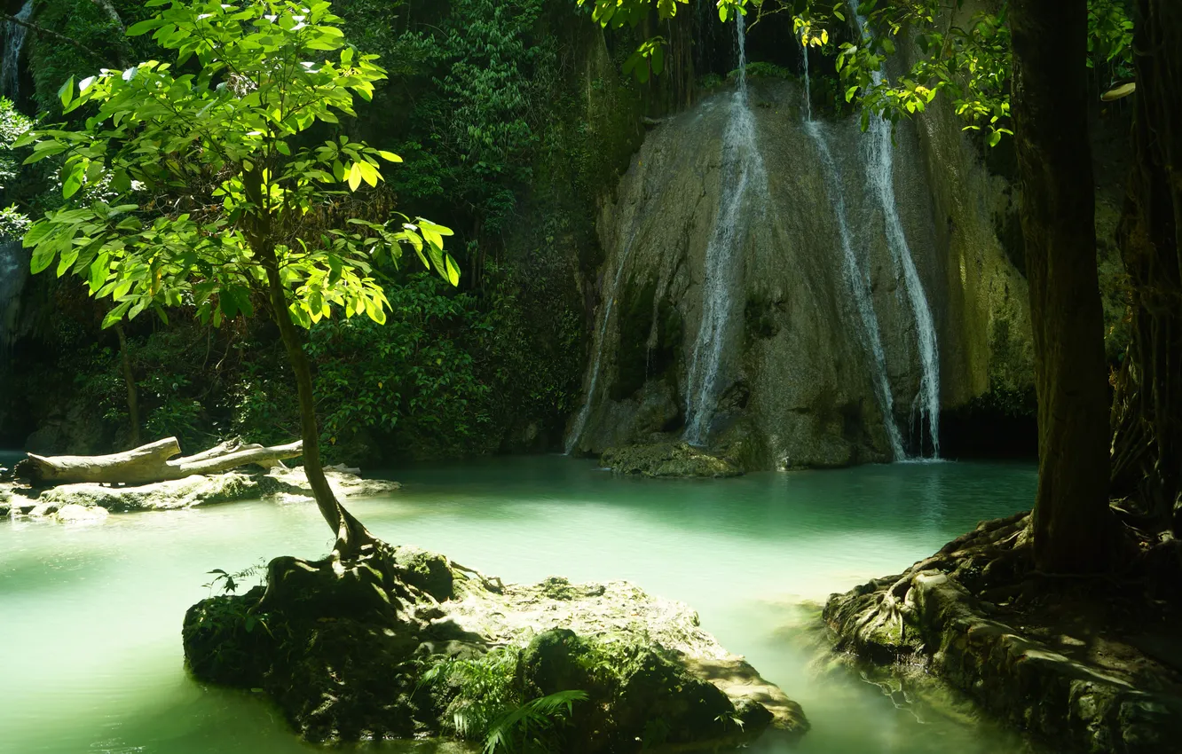 Photo wallpaper water, stones, tree, waterfall