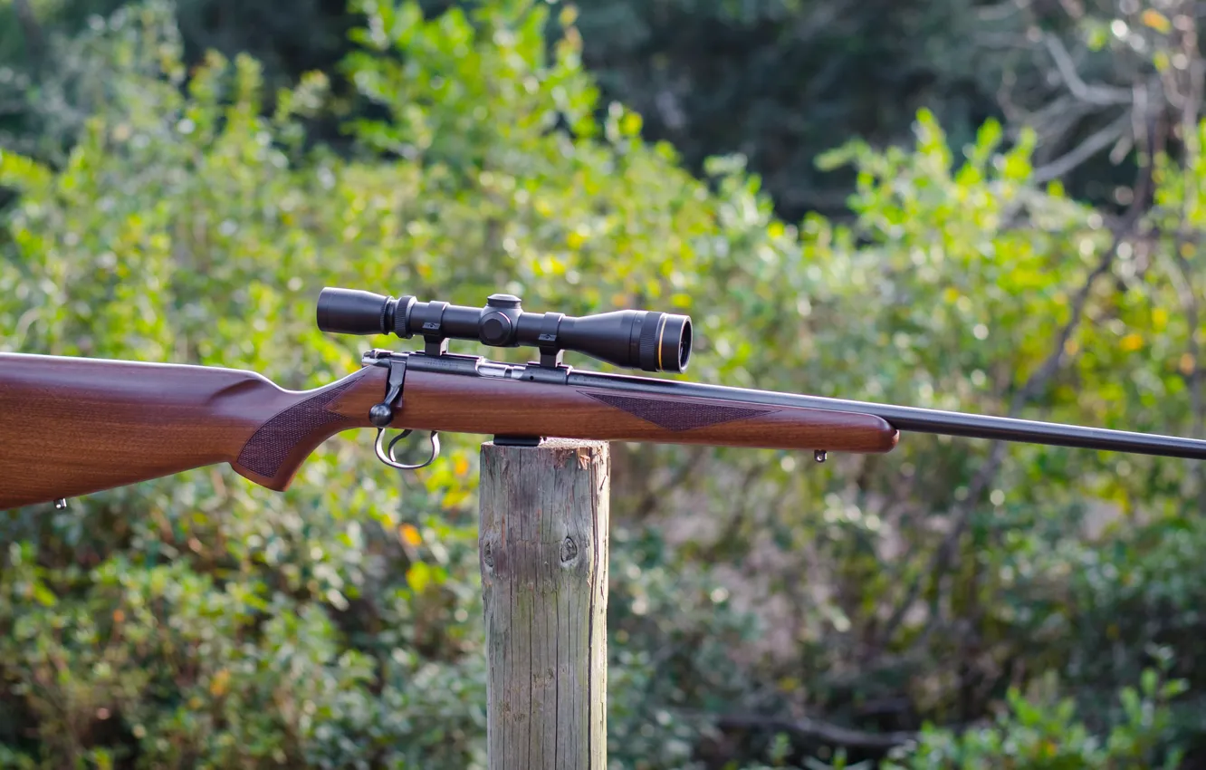 Photo wallpaper optics, rifle, cz 455