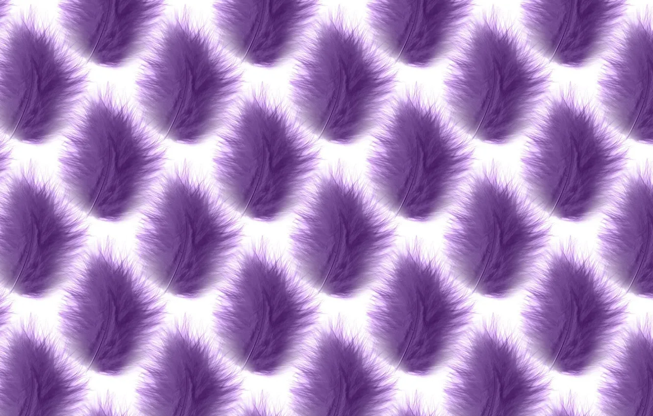 Photo wallpaper background, texture, gently, fluffy, a feather