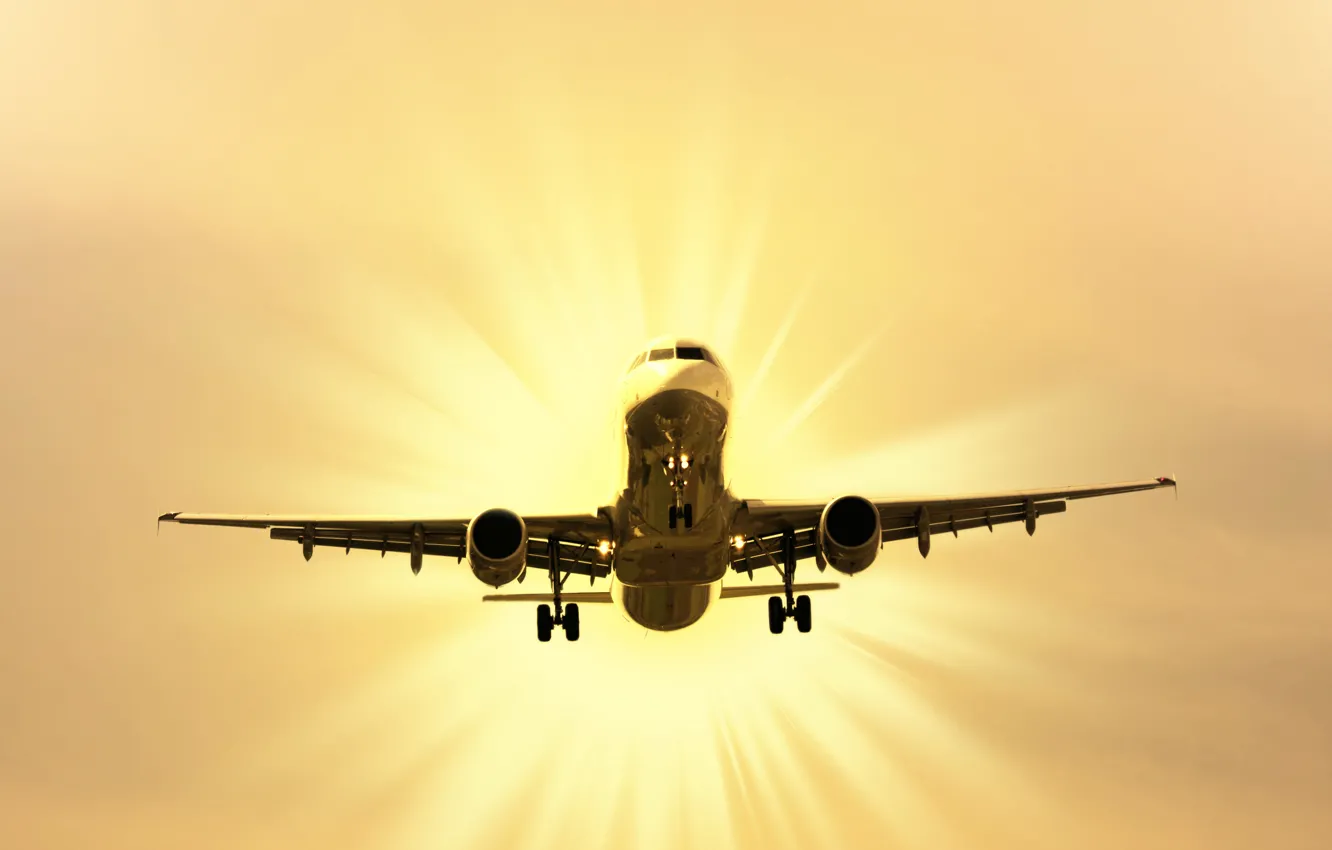 Photo wallpaper the sky, the sun, the plane, the rise