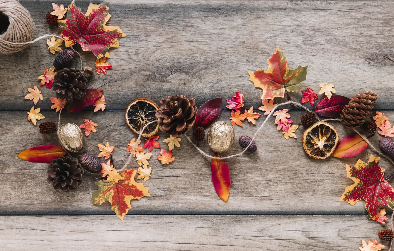 Photo wallpaper autumn, leaves, background, tree, colorful, nuts, bumps, wood