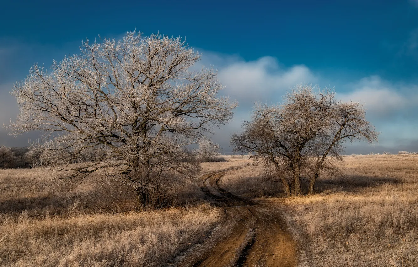Photo wallpaper road, field, clouds, trees, spring, space, blue sky, frost