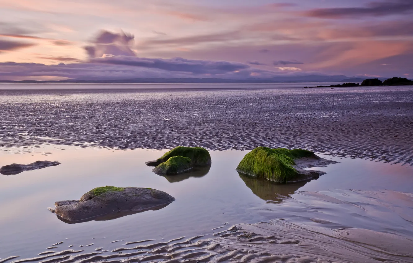 Photo wallpaper sand, sea, water, algae, sunset, reflection, stones, stranded