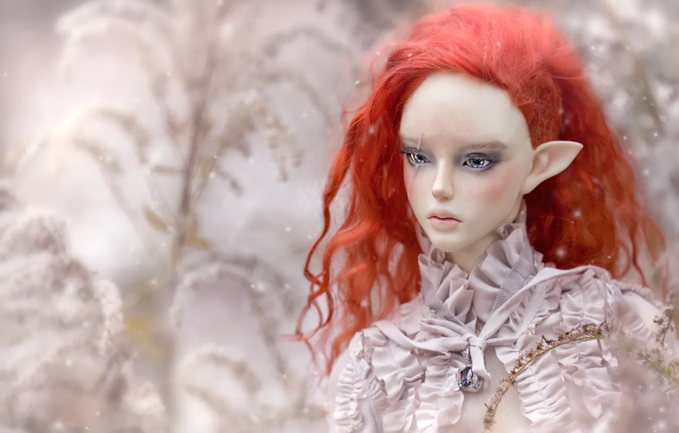 Photo wallpaper elf, doll, red
