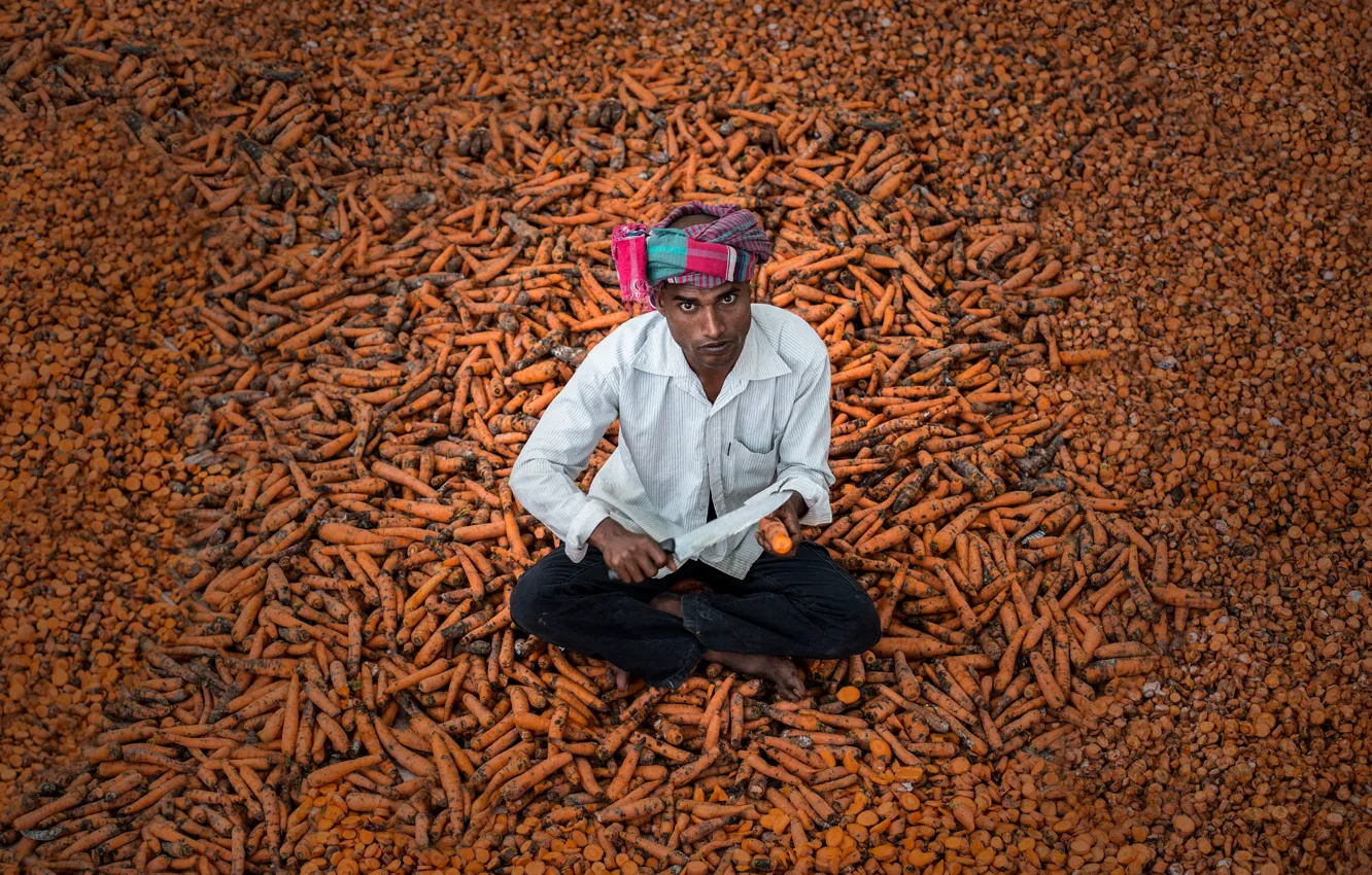 Photo wallpaper man, knife, carrots, markivka hochish?