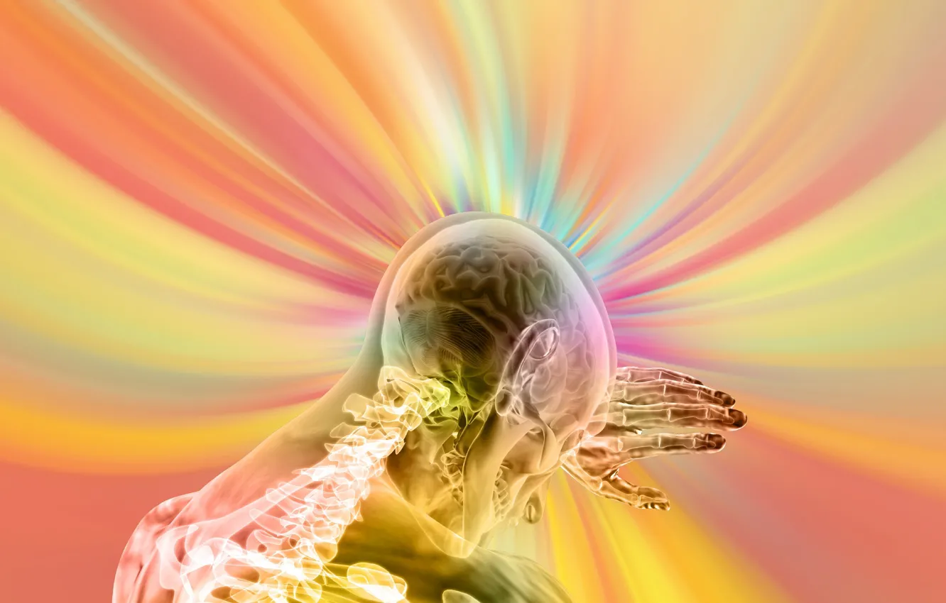 Photo wallpaper skeleton, brain, link