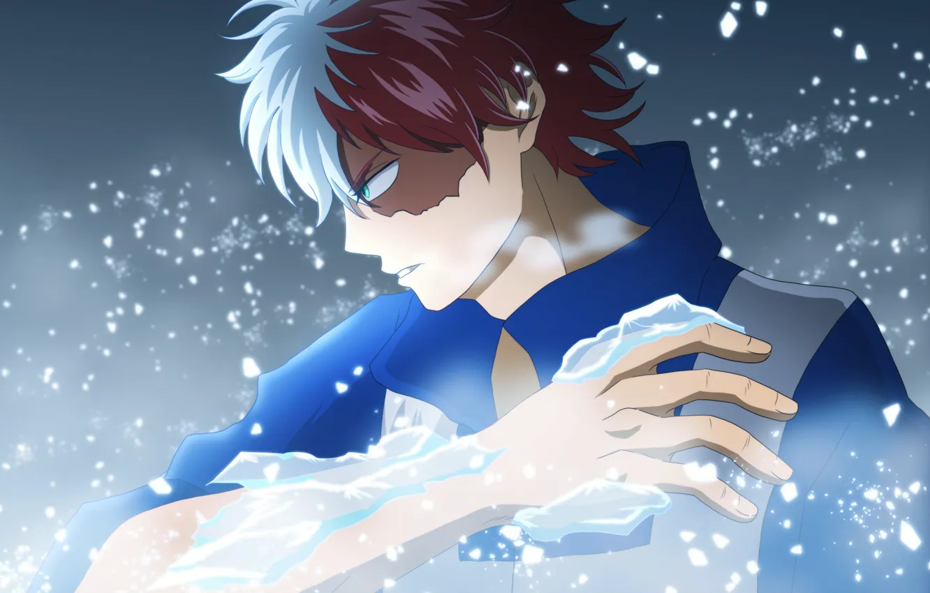Photo wallpaper ice, Boku no Hero Academy, My hero Academy, My Hero Academia, Todoroki Shoto