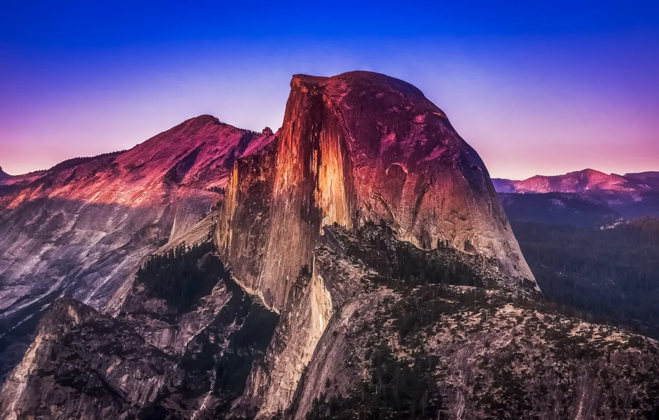 Photo wallpaper forest, landscape, sunset, mountains, panorama, California, Yosemite National Park