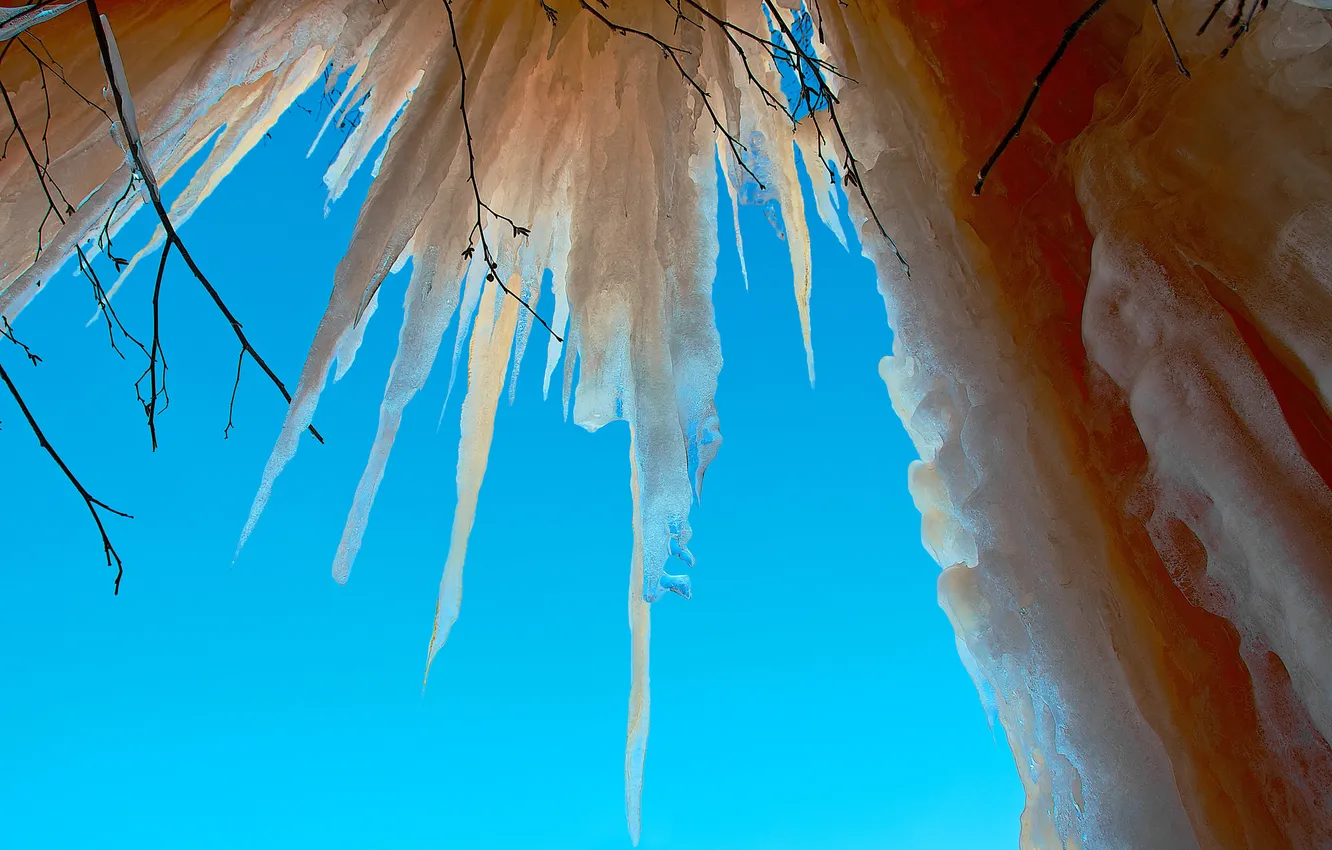 Photo wallpaper ice, the sky, branch, icicle