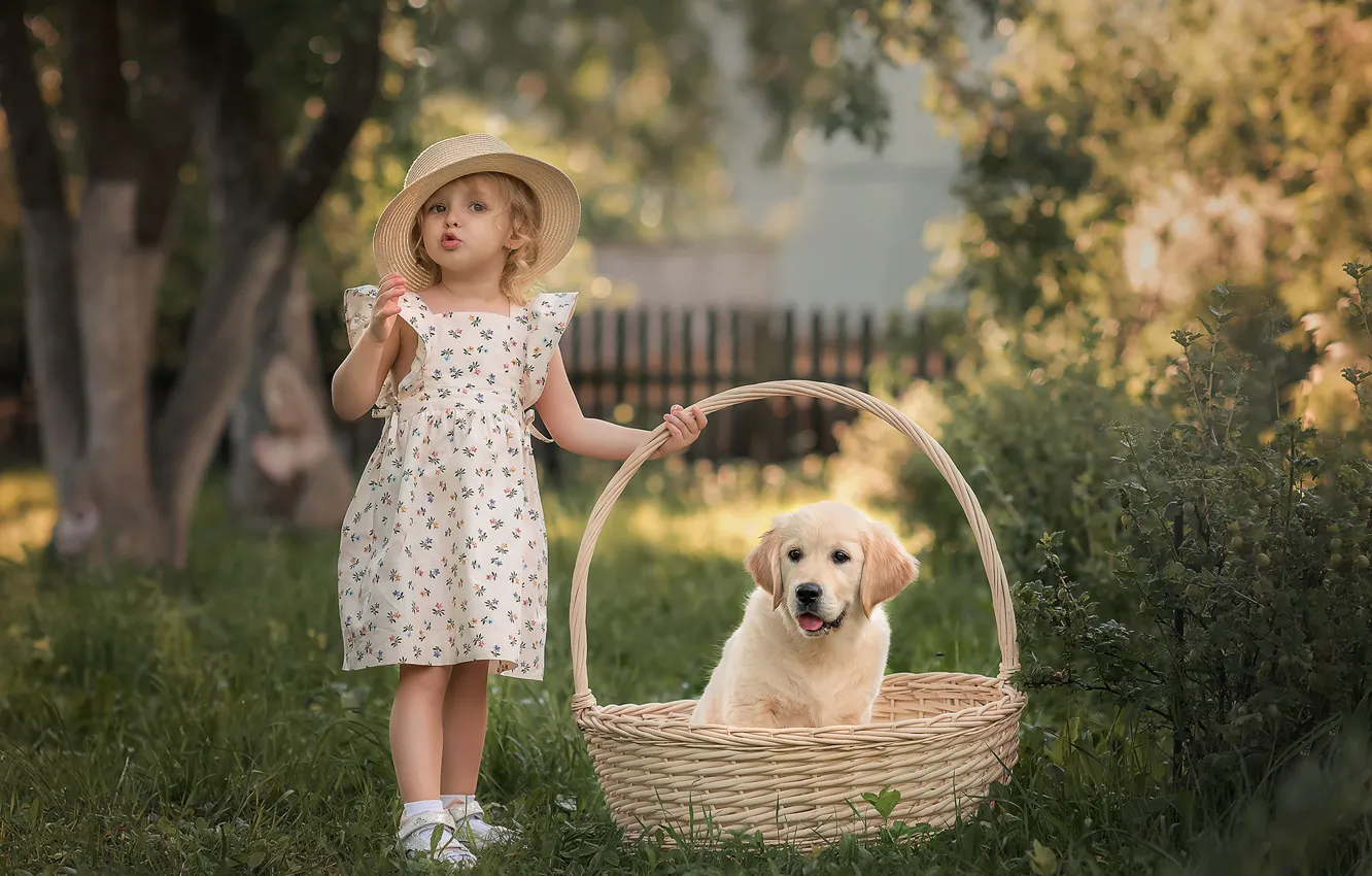 Photo wallpaper basket, hat, girl, puppy, Retriever