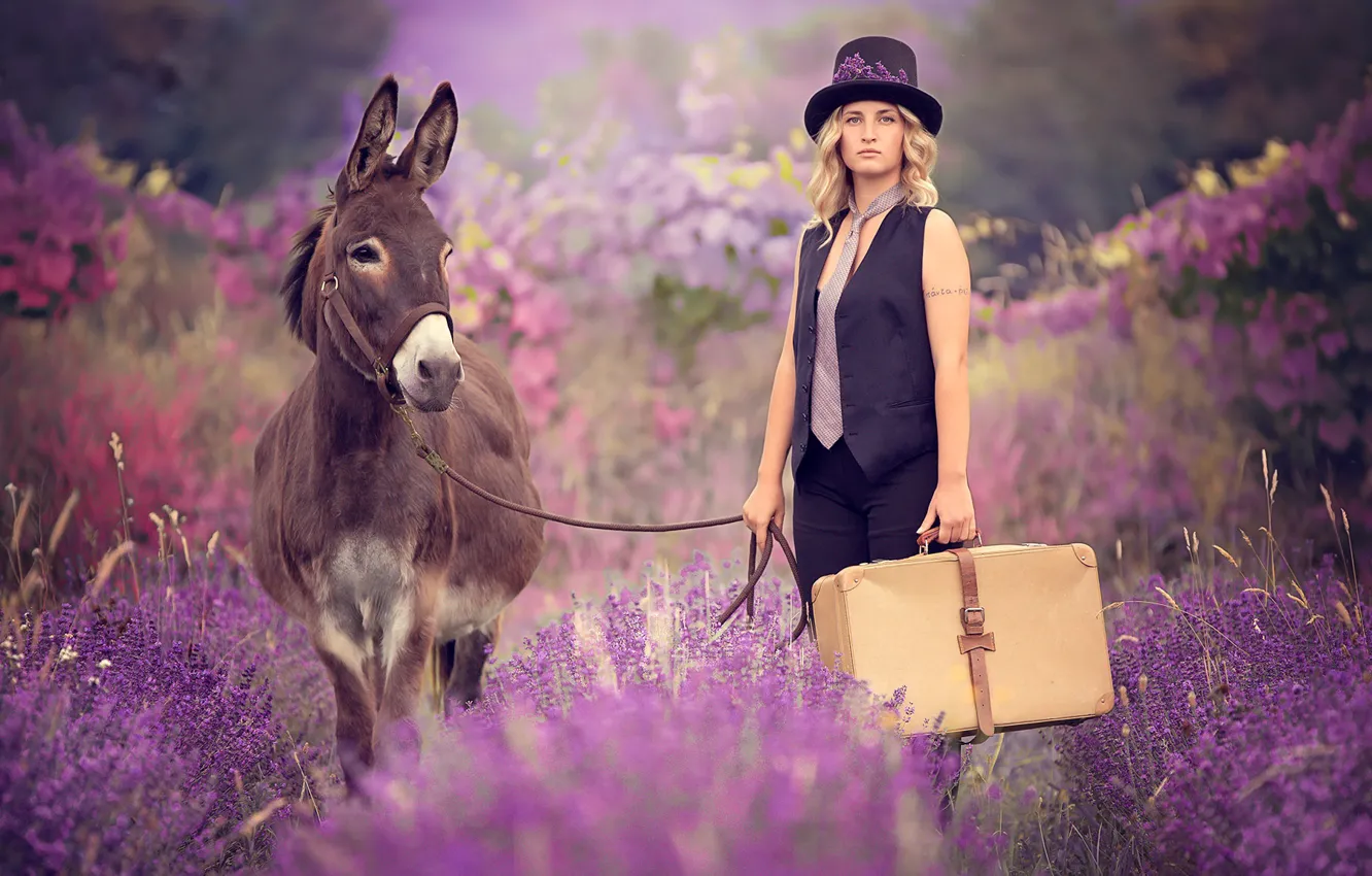 Photo wallpaper summer, girl, donkeys