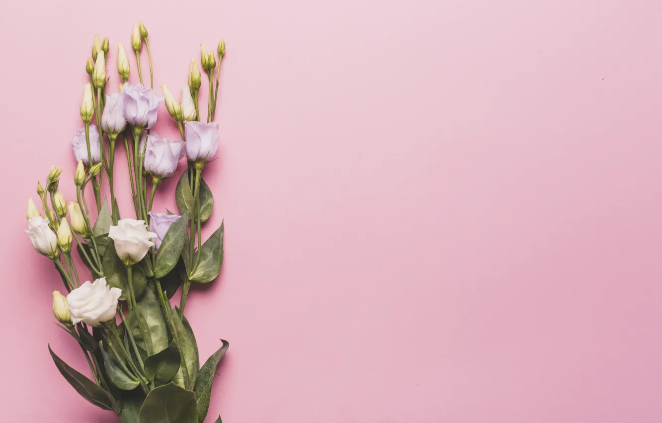 Photo wallpaper flowers, bouquet, pink background, eustoma