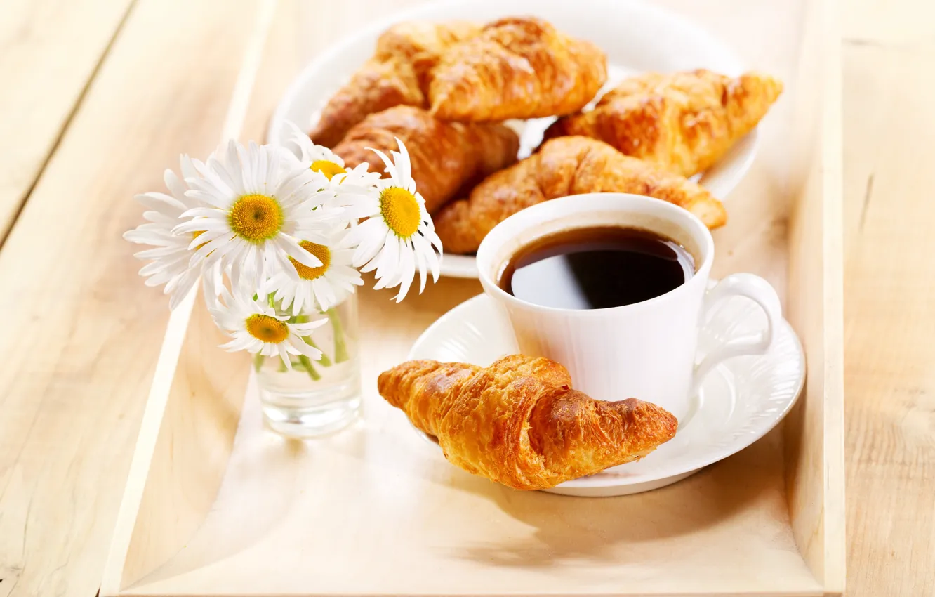 Photo wallpaper flowers, coffee, chamomile, Breakfast, flowers, coffee, breakfast, croissant