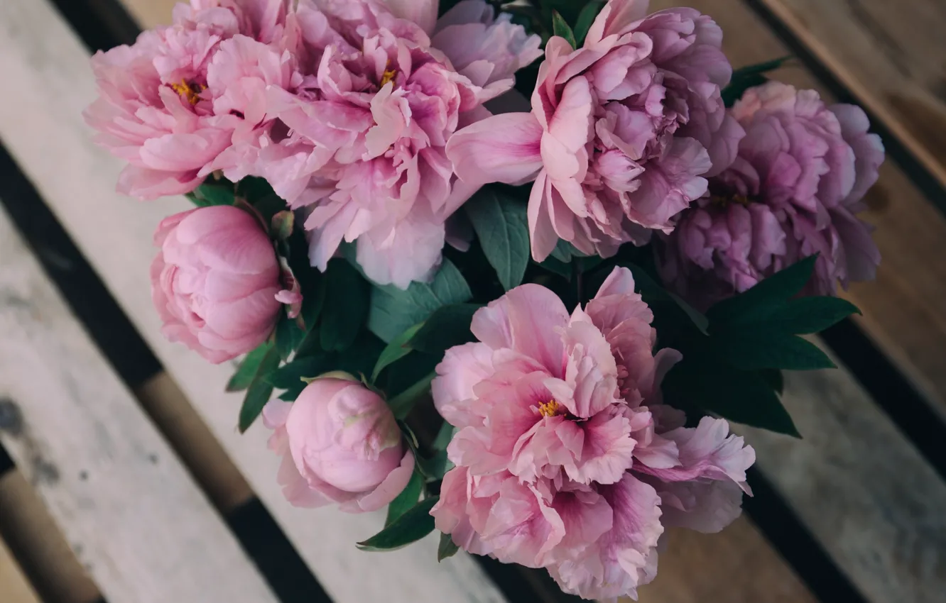 Photo wallpaper flowers, pink, peonies