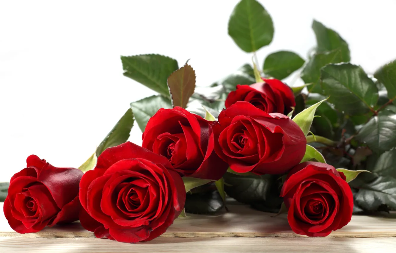 Photo wallpaper red, roses, buds