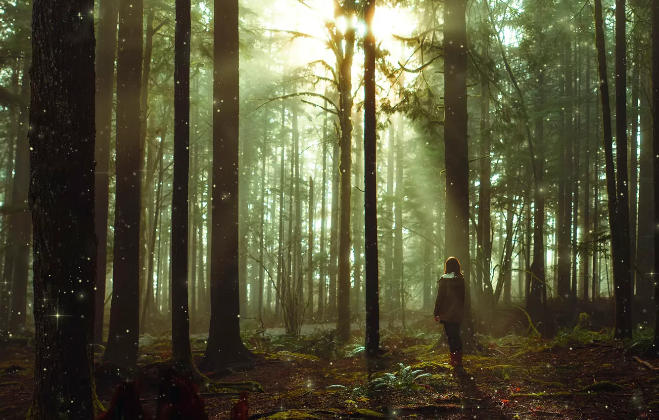Photo wallpaper girl, rays, trees, art, fairy forest