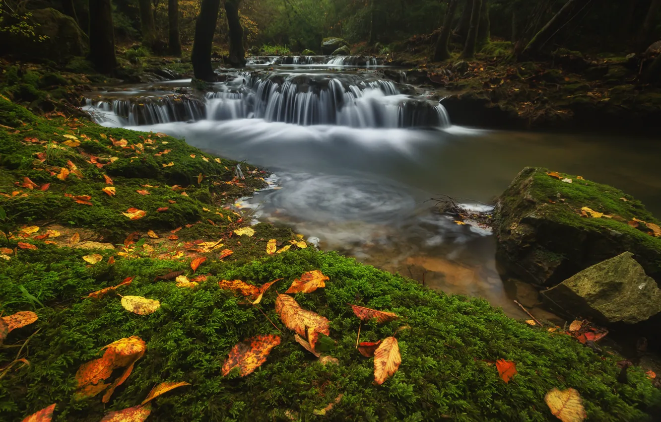 Photo wallpaper autumn, forest, leaves, water, stones, waterfall, stream, river