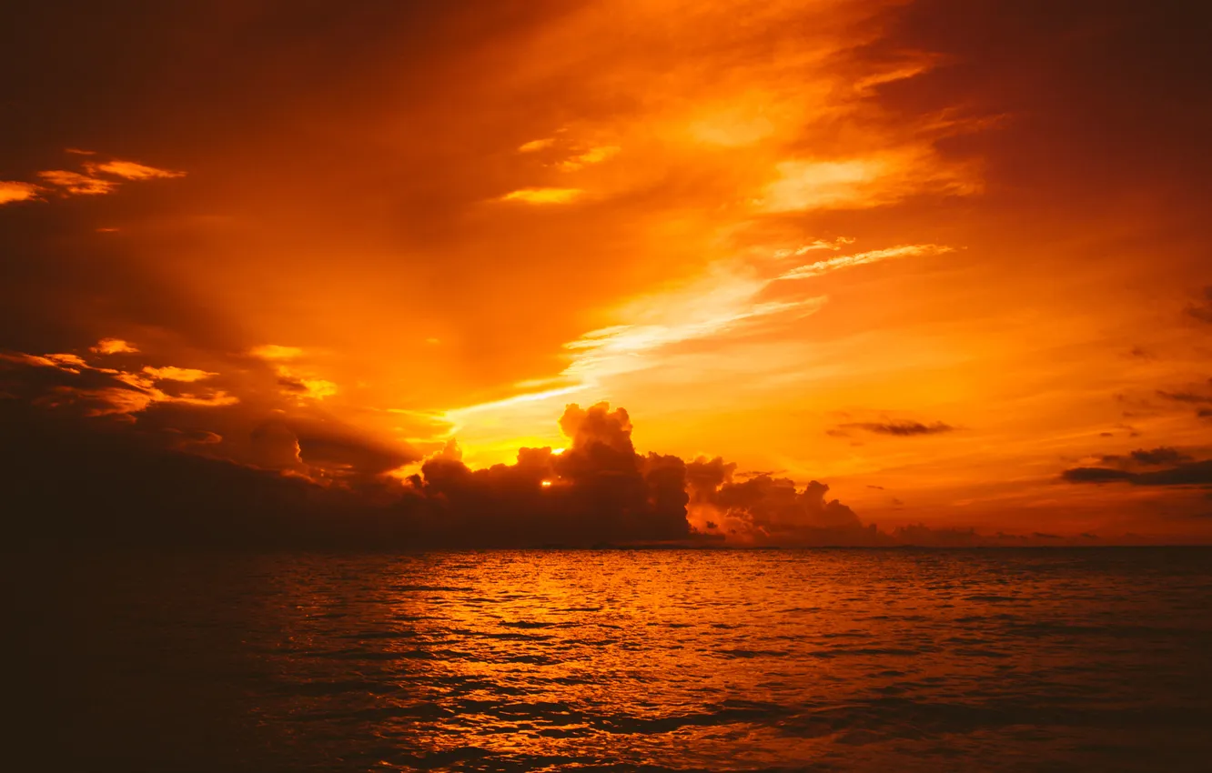 Photo wallpaper sea, the sky, the sun, clouds, sunrise, horizon, orange sky
