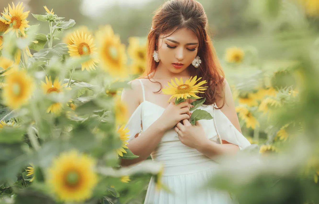 Photo wallpaper summer, girl, sunflowers