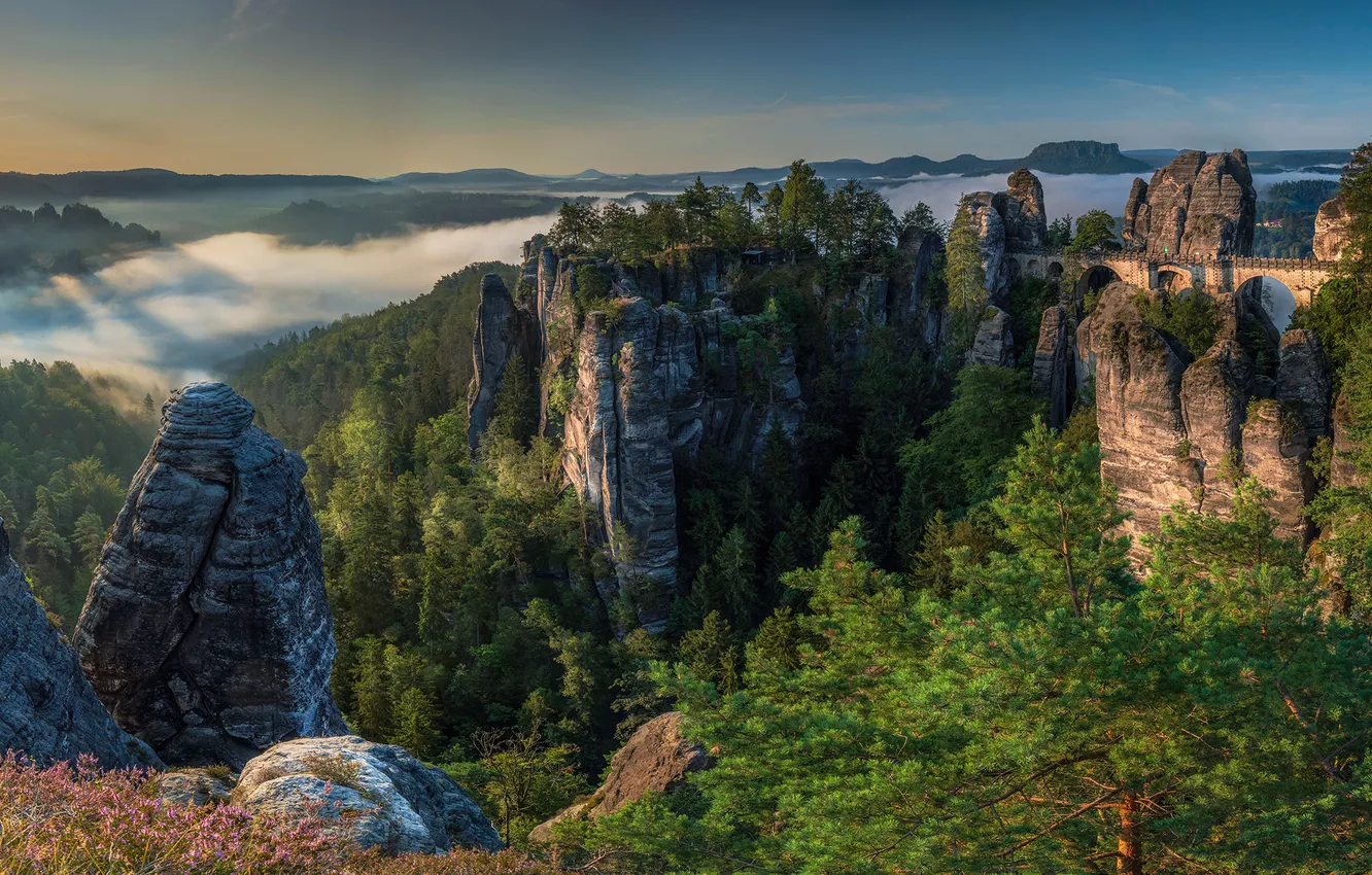 Photo wallpaper forest, cliffs, construction