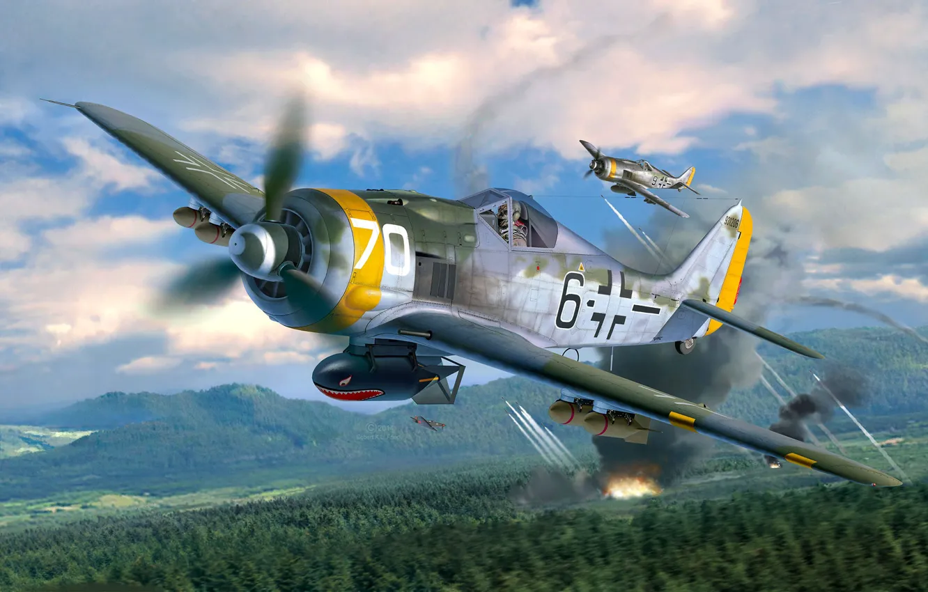 Photo wallpaper forest, mountains, fire, smoke, fighter-bomber, ETC 50, holders, Fw.190F