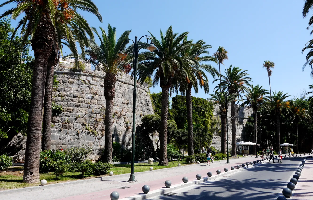 Photo wallpaper road, palm trees, wall, Wallpaper, Greece, Greece, Kos