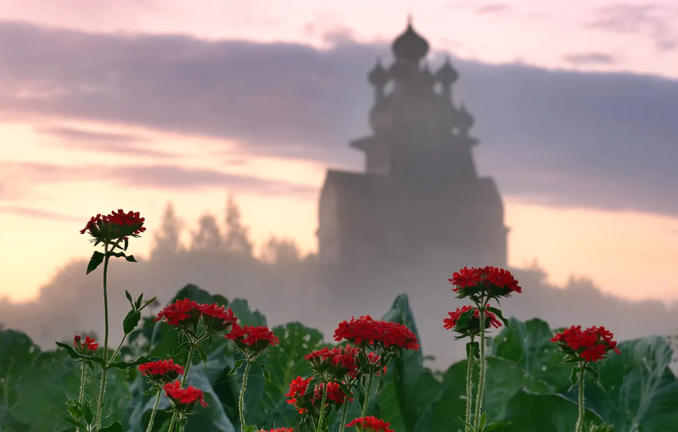 Photo wallpaper flowers, temple, Arkhangelsk oblast, Podporozhye