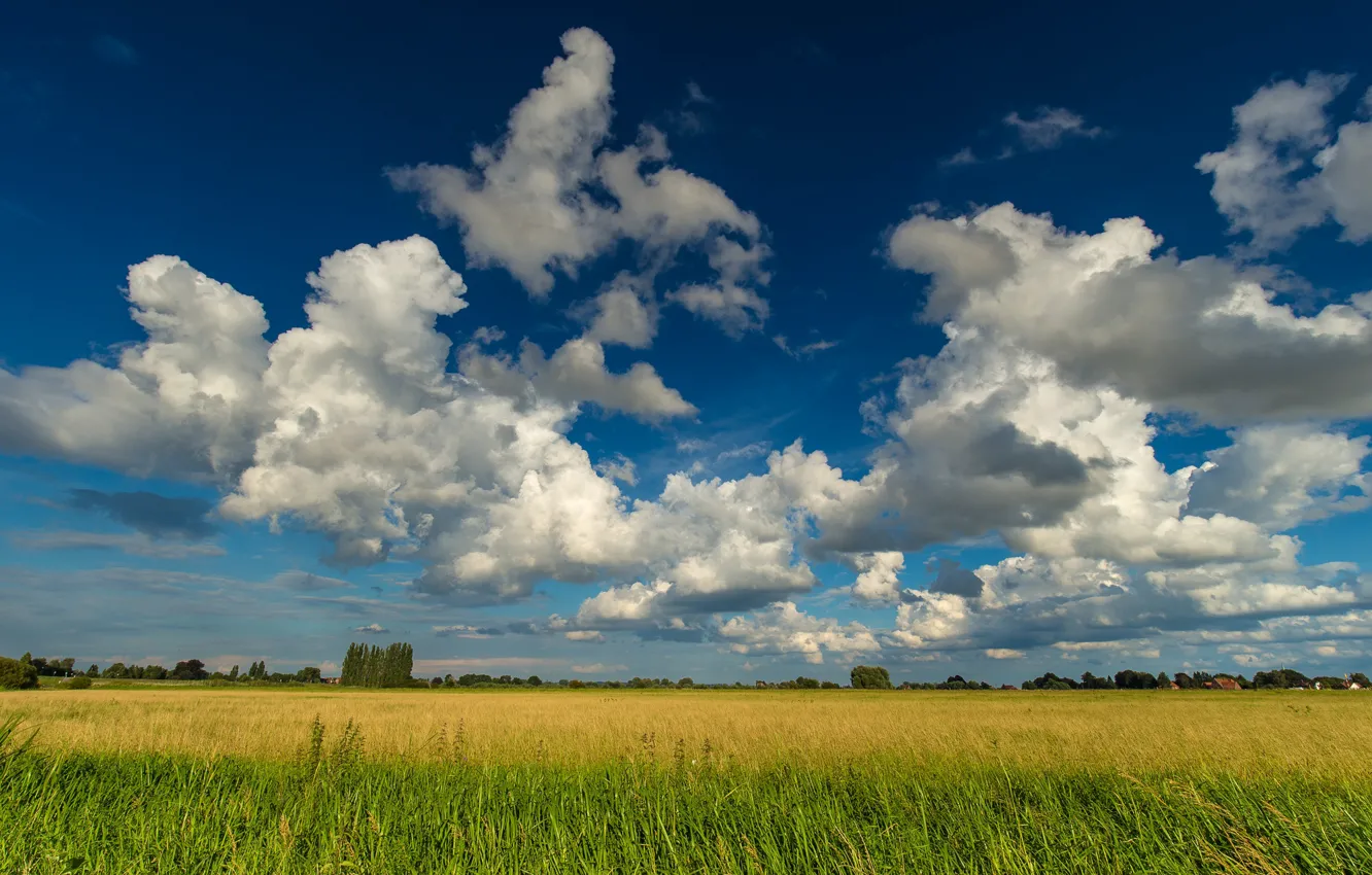 Photo wallpaper field, summer, the sky, grass, clouds, nature, blue, meadow
