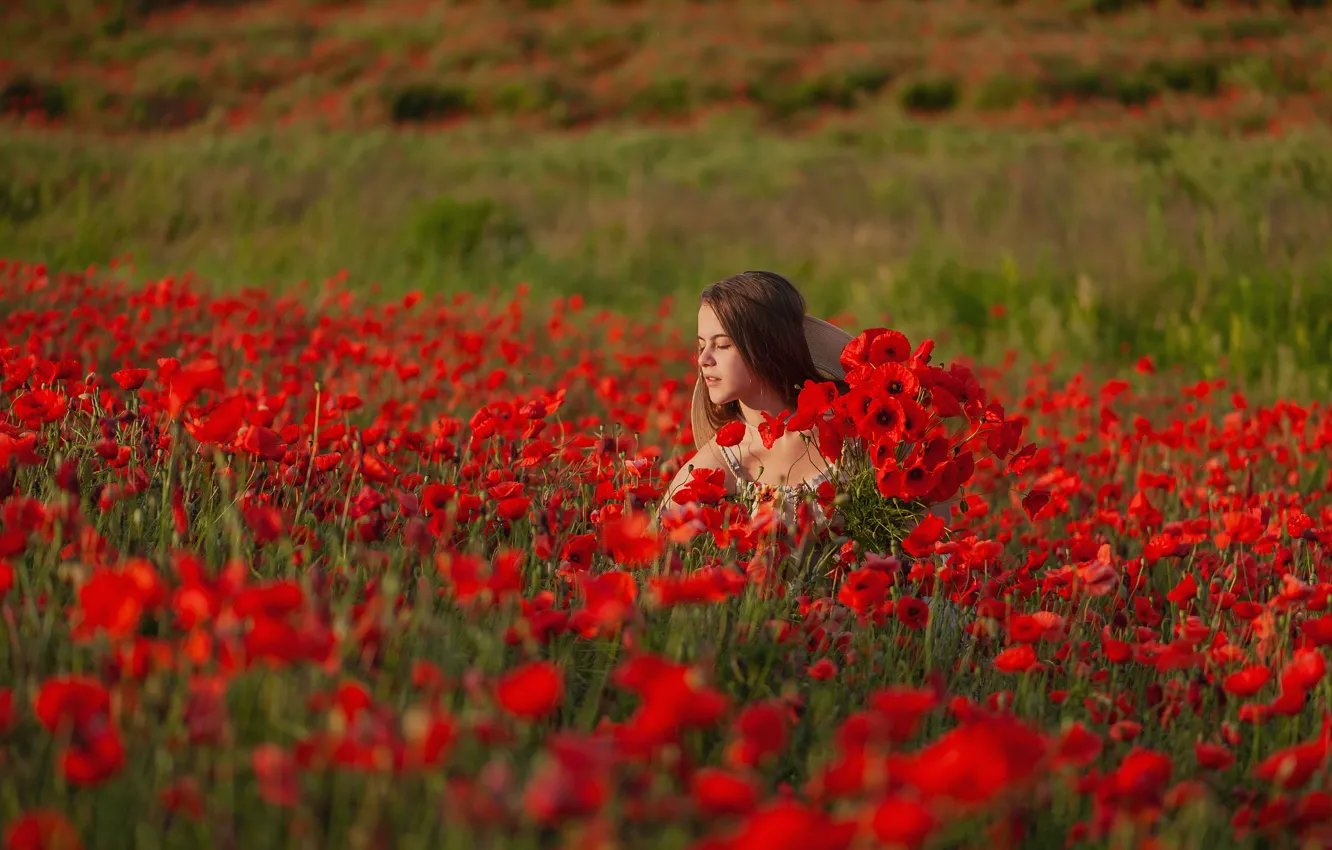 Photo wallpaper field, summer, girl, flowers, red, nature, Maki, bouquet