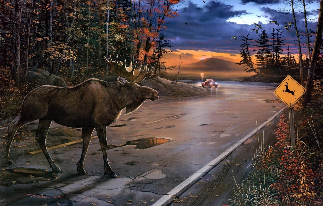 Photo wallpaper road, machine, autumn, animals, overcast, duck, the evening, deer