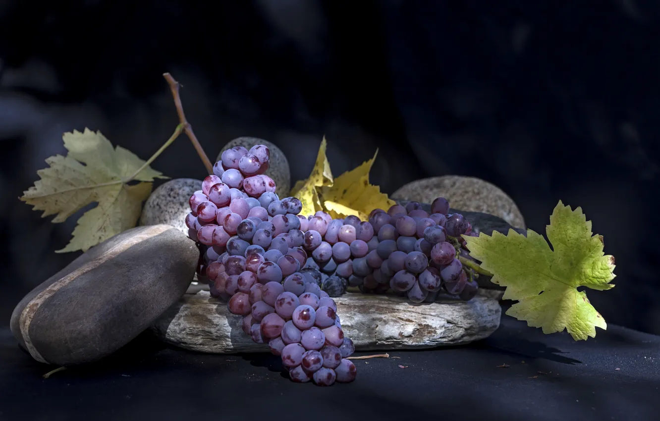Photo wallpaper berries, food, grapes