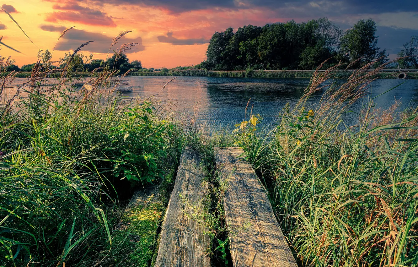 Photo wallpaper summer, the sky, grass, sunset, lake, pond, thickets, shore