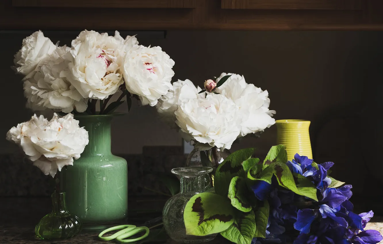 Photo wallpaper leaves, flowers, the dark background, table, bouquet, vase, white, still life