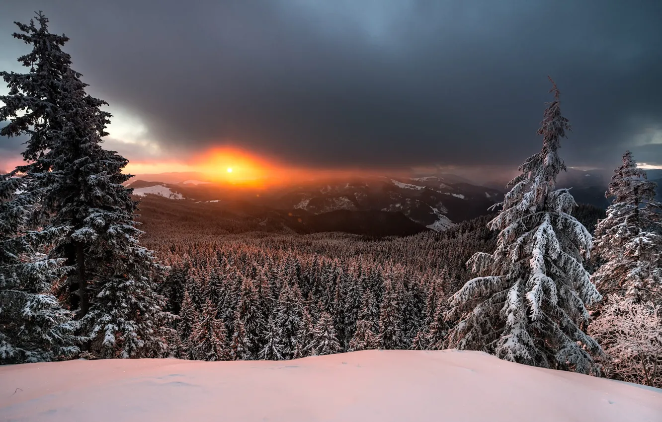Photo wallpaper winter, forest, the sky, the sun, snow, sunset, mountains, clouds