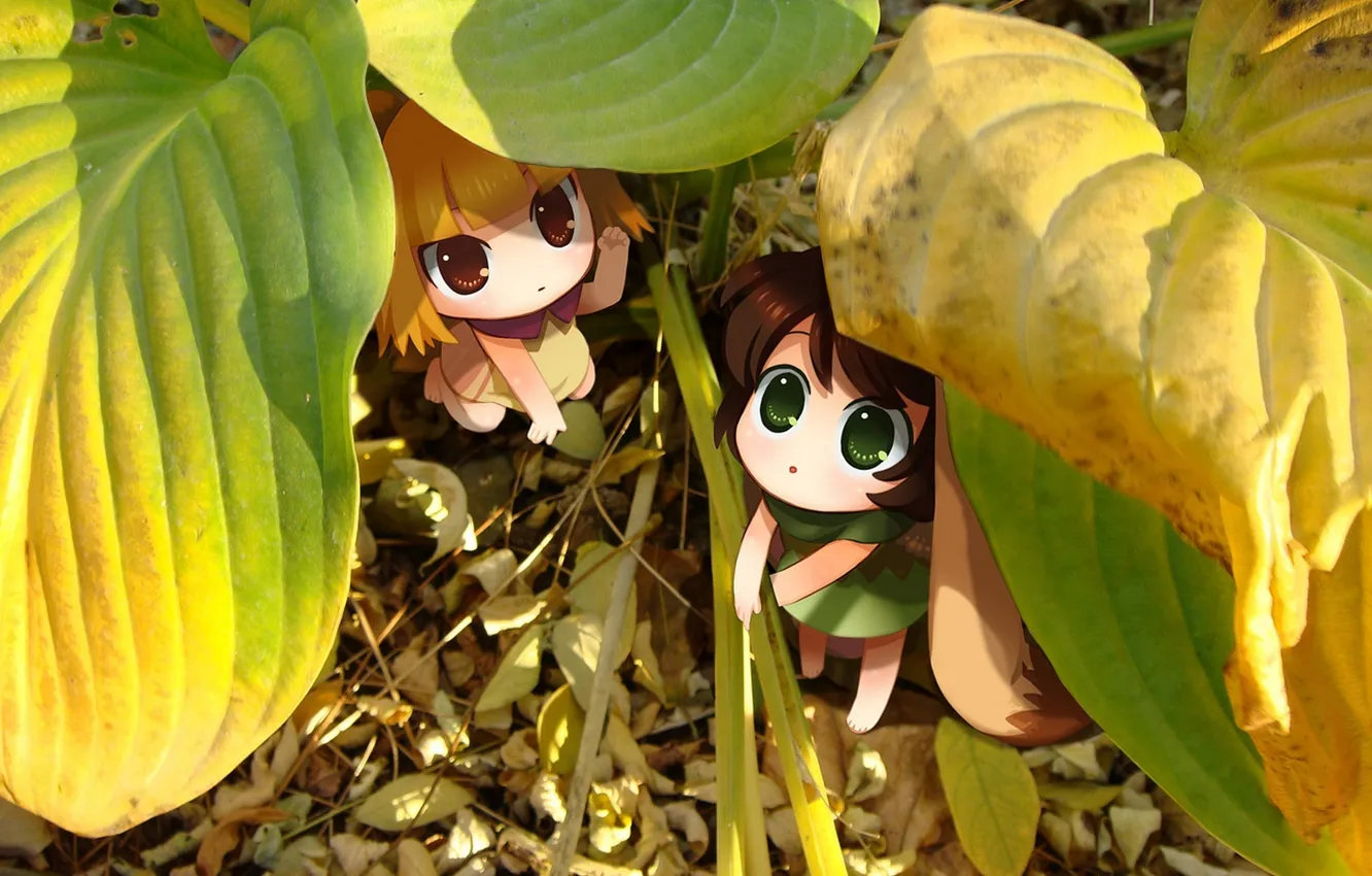 Photo wallpaper leaves, the sun, nature, anime, art, chibi, anything sakana